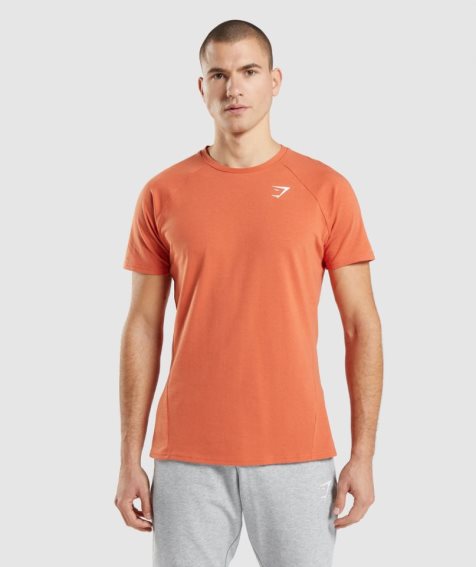 Men's Gymshark Critical T-Shirts Orange | CA A7083D